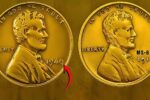 Complete Wheat Penny Value Chart Rare Dates Mint Marks and Historical Price Changes